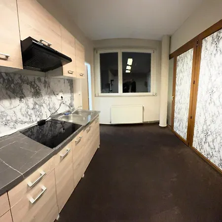 公寓 Centrum Palackeho Trenčín