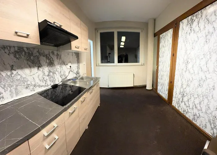 公寓 Centrum Palackeho Trenčín